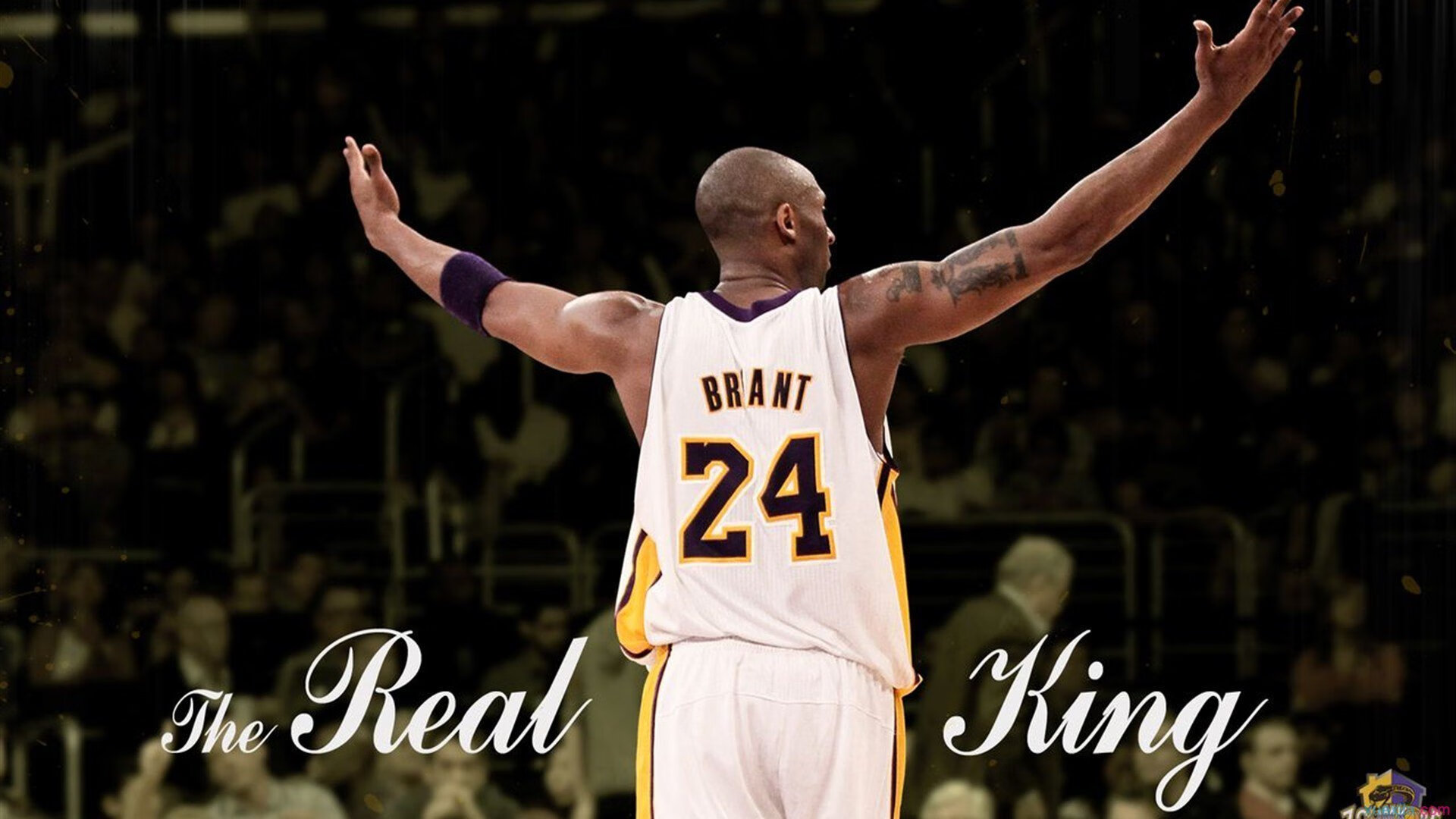 政府体育政策助推威尔士橄榄球发展，威尔士橄榄球联盟